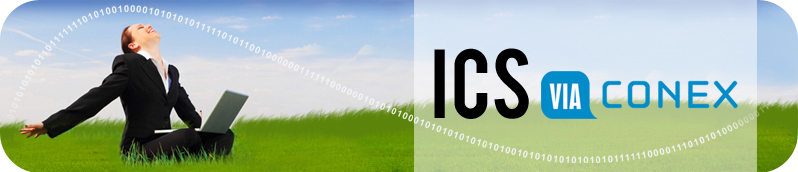 ICSviaconex - ICS - Import Control System